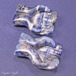 Other Shapes: Healing Hands - Sodalite