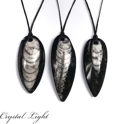 Necklaces: Orthoceras Fossil Necklace