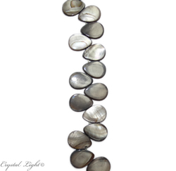 Shell and Pearl Beads: Shell Beads