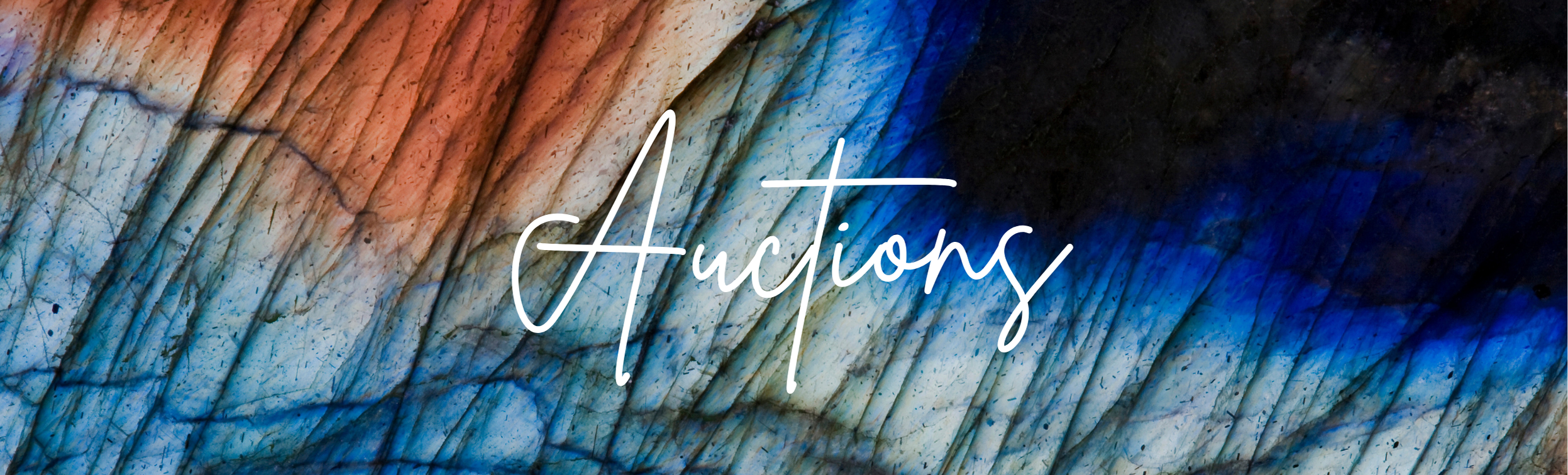Auctionsban.png