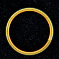 Rings: Gold Ring 12mm