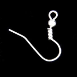 Ear rings: Bright Silver Ear Hook Pair