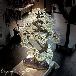 Large/Extra Large Trees: Clear Quartz Tree