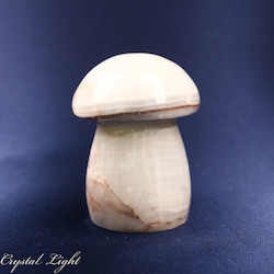 Mushrooms: Onyx Mushroom