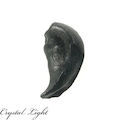 Whale Ear Bone Fossil