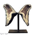 Amethyst Wings on Stand