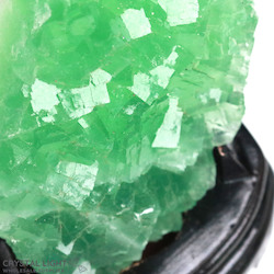 Display Pieces on Stand: Green fluorite on Stand
