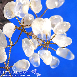 Large/Extra Large Trees: Clear Quartz Druse Tree (Single)