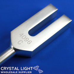 Tuning Forks: Tuning Fork (Note C)