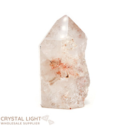 Single Point Listings: Rutilated Lodolite Point