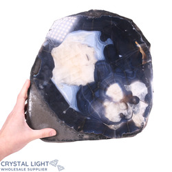 Auctions: Agate Polished Slice (AUCTION)