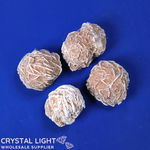 Desert Rose Lot