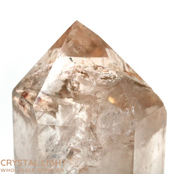 Single Point Listings: Lodolite Polished Point (Large)