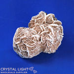 Desert Rose (Single)