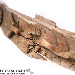 Teeth: Mammoth Tusk Specimen