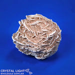 Desert Rose (Single)