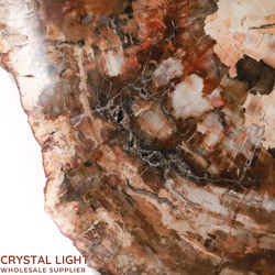 Slabs: Petrified Wood Slab
