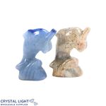 Mixed Dolphin Lot