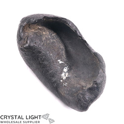 Other Fossils: Whale Earbone Fossil