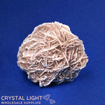 Desert Rose (Single)