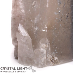 Cathedral Crystals: Citrine Cathedral with Dumortierite