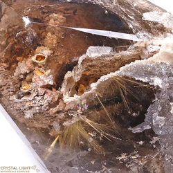 Natural Points: Golden Rutilated Lodolite Natural Twin Point