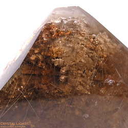 Display Pieces on Stand: Large Rutilated Lodolite Point on Stand