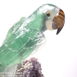 Animals: Fluorite Parrot on Amethyst Druse