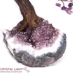 Large/Extra Large Trees: Amethyst Druse Tree (Single)