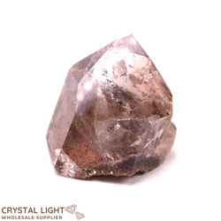 Single Point Listings: Lodolite Quartz Point