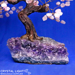 Medium Trees: Rose Quartz Druse Tree (Single)