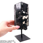 Terminated Black Tourmaline on Stand
