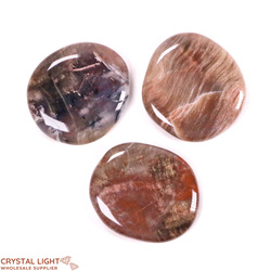 Flatstone Individuals and Lots: Petrified Wood Flatstone Lot