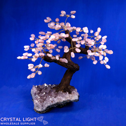 Large/Extra Large Trees: Rose Quartz Druse Tree (Single)