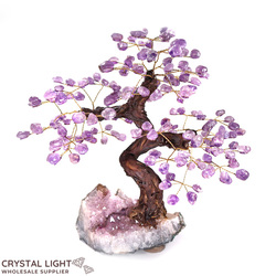 Large/Extra Large Trees: Amethyst Druse Tree (Single)