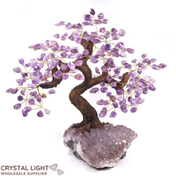 Large/Extra Large Trees: Amethyst Druse Tree (Single)