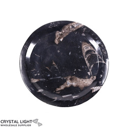 Bowls, Plates & Dishes: Orthoceras Fossil Plate (Medium)