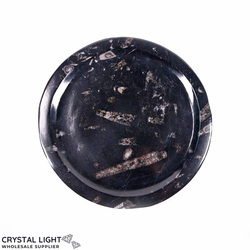 Bowls, Plates & Dishes: Orthoceras Fossil Plate (Small)