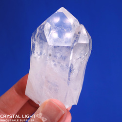 Twin Points: Lemurian Twin Point