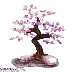 Medium Trees: Amethyst Druse Tree (Single)