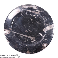 Bowls, Plates & Dishes: Orthoceras Fossil Plate (Large)