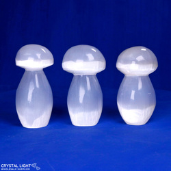 Mushrooms: Selenite Large Mushroom
