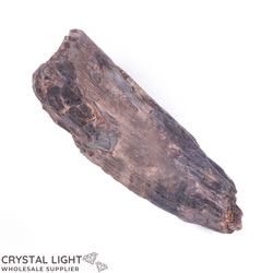 Teeth: Whale Tooth Fossil