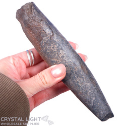 Teeth: Whale Tooth Fossil