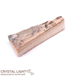 Teeth: Mammoth Tusk Specimen