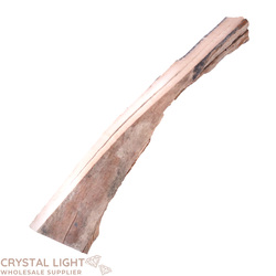 Teeth: Mammoth Tusk Specimen