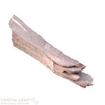 Mammoth Tusk Specimen