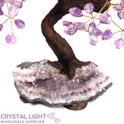 Large/Extra Large Trees: Amethyst Druse Tree (Single)