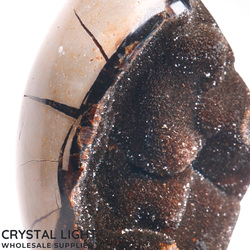 Eggs: Septarian Druse Egg
