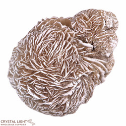 All Other Crystal Specimens: Desert Rose (Single)